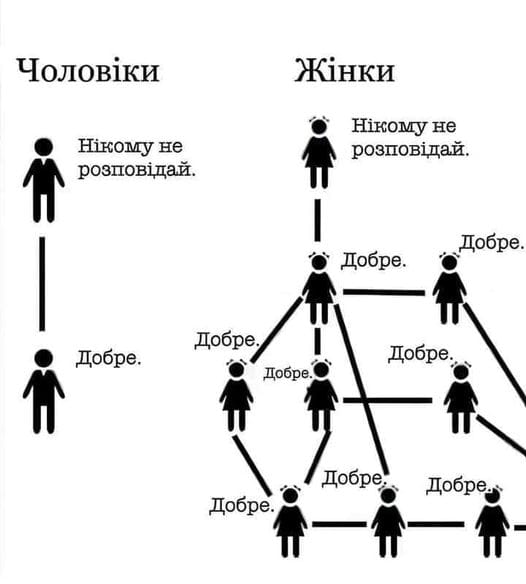 торты-от-светланы